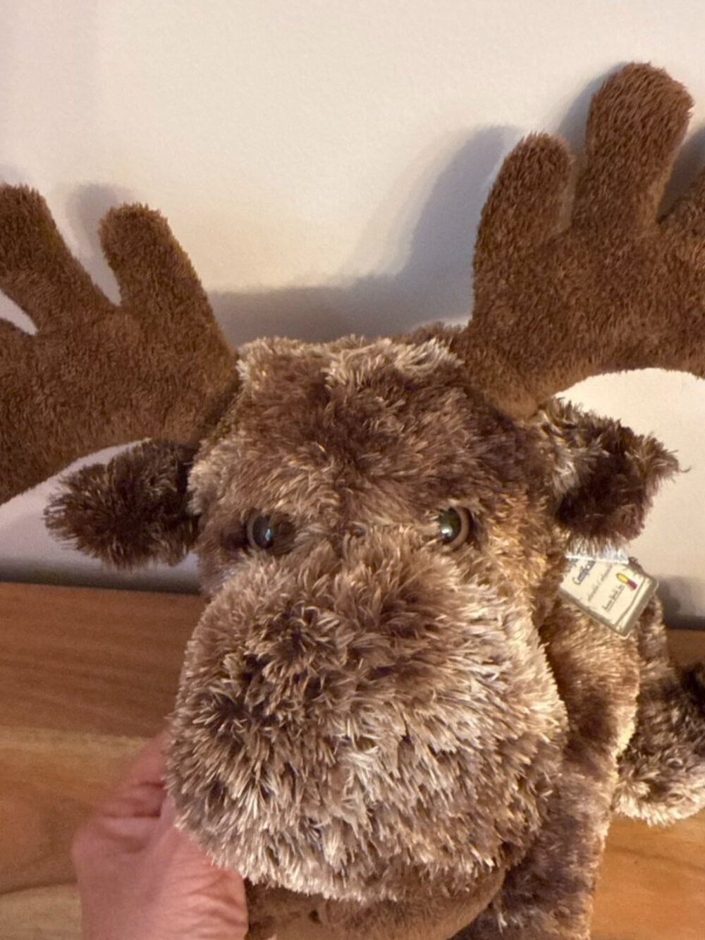 New Aurora World Flopsie MOOSE plush stuffed animal 2017  12" Moosey #06865 - Picture 11 of 16